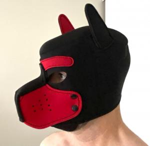 Cagoule  Masque de chien